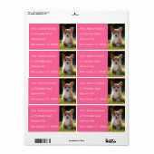 Corgi子犬の名前差出人住所メーリングラベル ラベル (フルシート)