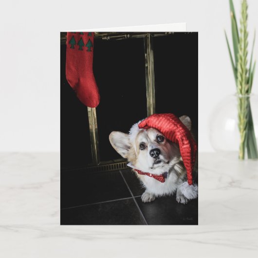 Corgi小妖精や小人サンタクリスマスカードを探して シーズンカード (正面)