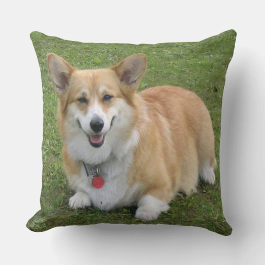 CORGi クッション (正面)