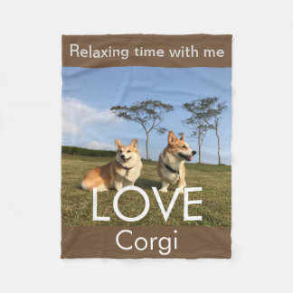corgi blanket blue sky フリースブランケット