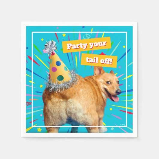 Corgi Butt Birthday Hat スタンダードカクテルナプキン (正面)