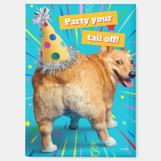Corgi Butt Birthday Hat マグネット (正面)