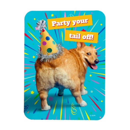 Corgi Butt Birthday Hat マグネット (縦)