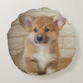 Corgi Dogの写真 ラウンドクッション (裏面)