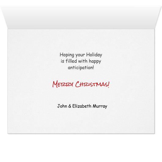 Corgi Dog Trio By the Christmas Fireplace (内部横(下))