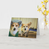 Corgi Drとナースが気に間もなく良くなる カード (黄色い花)