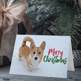 Corgi Merry Christmas Dog in Snowフォトホリデー カード