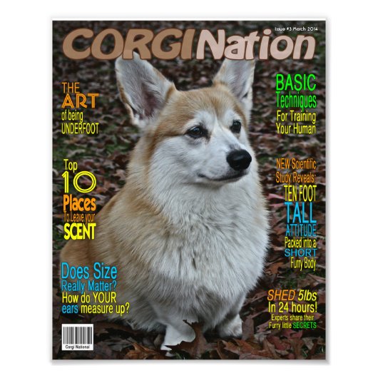 Corgi Nation Magazine (カスタマイズ可能なプリント) フォトプリント (正面)