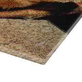 Corkboardの一見のモルモット カッティングボード (角)