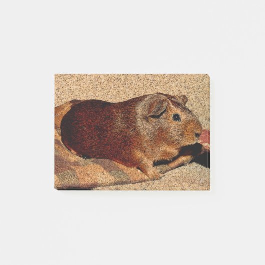 Corkboardの一見のモルモット ポストイット (正面)