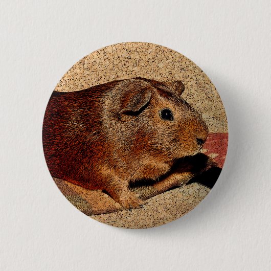 Corkboardの一見のモルモット 缶バッジ (正面)