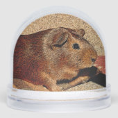 Corkboard Look Guinea Pig (正面)