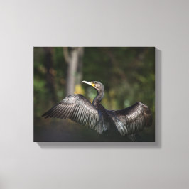 Cormorant自然写真 キャンバスプリント