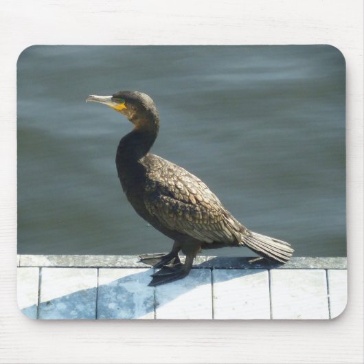 Cormorant マウスパッド (正面)