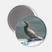 Cormorant マグネット (正面/裏面)