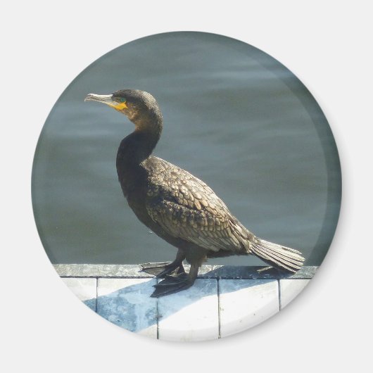 Cormorant マグネット (正面)