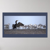Cormorant with Seagulls Poster ポスター (正面)
