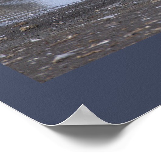 Cormorant with Seagulls Poster ポスター (角)