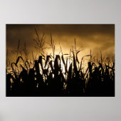 Corn field Silhouettes ポスター (正面)