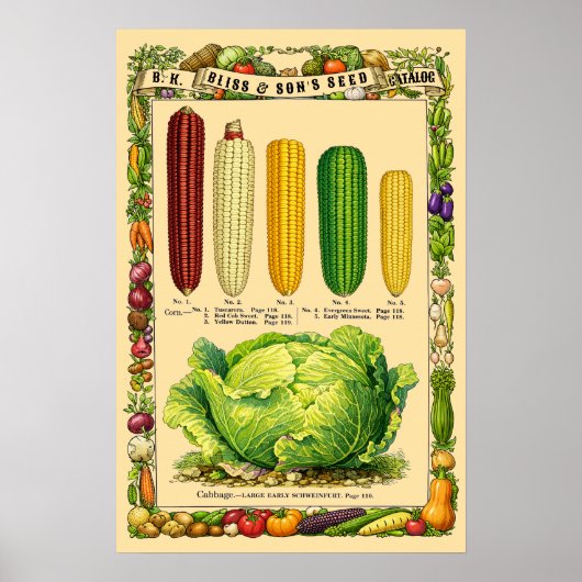 Corn Retro Victorian Era Botanical Art ポスター (正面)
