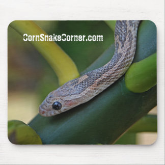 CornSnakeCornerのマウスパッド マウスパッド