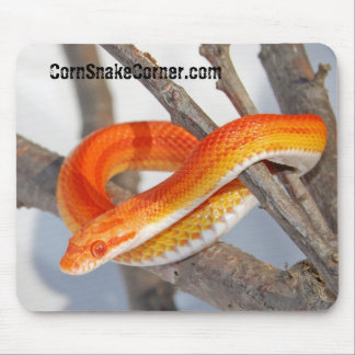CornSnakeCornerのマウスパッド マウスパッド