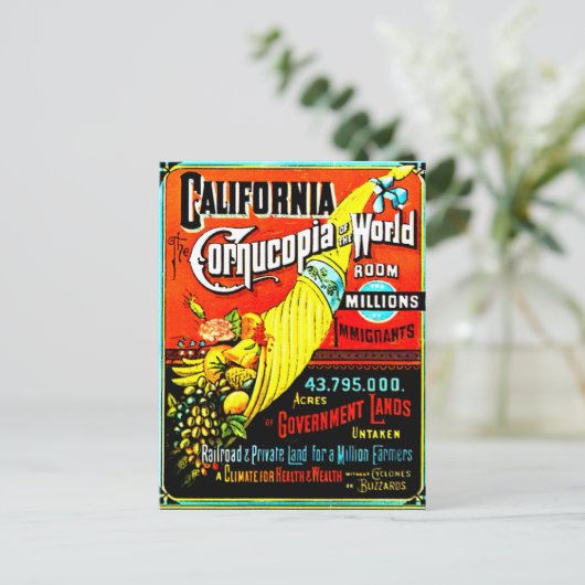 Cornucopia – はがき (スタンド正面)