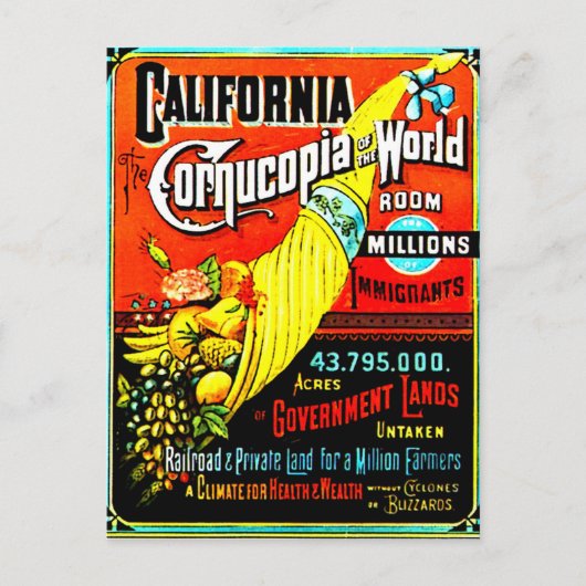 Cornucopia – はがき (正面)