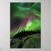 Corona Aurora ポスター (正面)