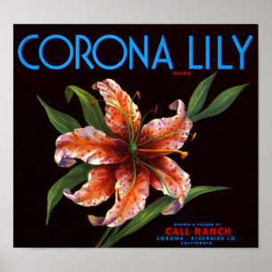 Corona Lily ポスター