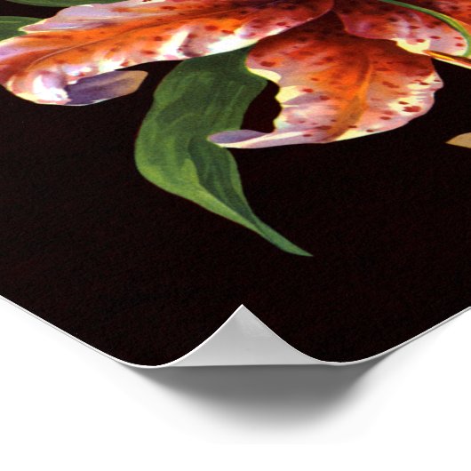 Corona Lily ポスター (角)