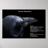 Corvidae Symboliismポスター ポスター (正面)