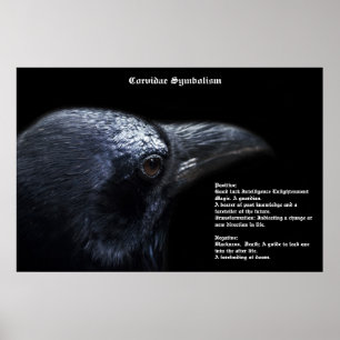 Corvidae Symboliismポスター ポスター