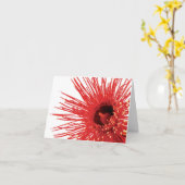 Corymbia ficifolia "Wildfire"フォトフラワーカード カード (黄色い花)