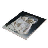 Cosimoをde Medici (1519-74年)および彼の描写するカメオ タイル (側面)