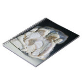 Cosimoをde Medici (1519-74年)および彼の描写するカメオ ノートブック (左側)