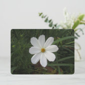 Cosmea シーズンカード (スタンド正面)