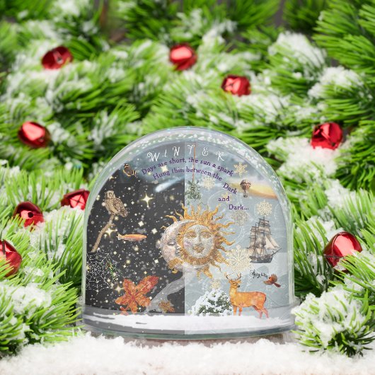 Cosmic Winter Snow Globe (クリスマス)
