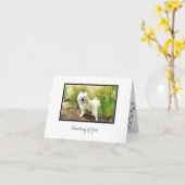 Cosmo #25ノートカ空白のード カード (黄色い花)