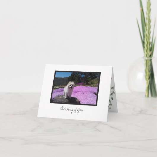 Cosmo #4ノートカ空白のード カード (正面)