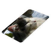 Cosmo 4 X 6カスタムフォトマグネット マグネット (左側)