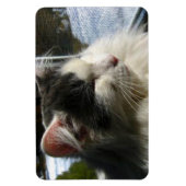 Cosmo 4 X 6カスタムフォトマグネット マグネット (縦)