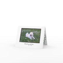 Cosmo #7メモカ空白のード