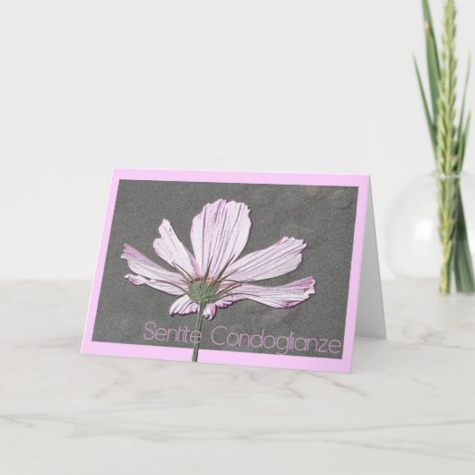 cosmos悔やみや弔慰カーイタリアンド カード (正面)