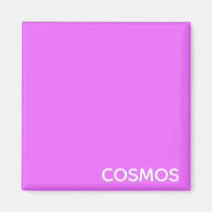Cosmos紫の色名 マグネット