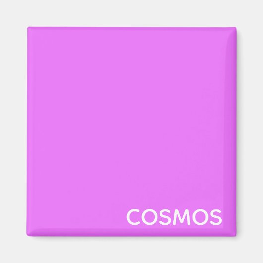 Cosmos紫の色名 マグネット (正面)