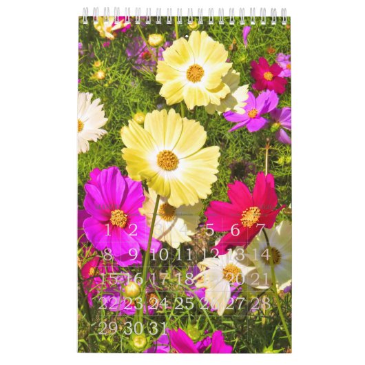 Cosmos カレンダー (3月 2026)