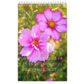 Cosmos カレンダー (2月 2026)