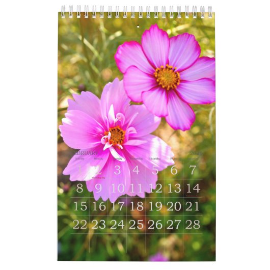 Cosmos カレンダー (2月 2026)