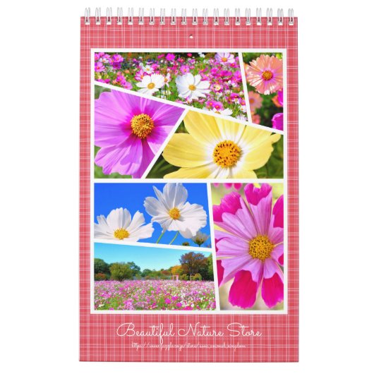 Cosmos カレンダー (裏面)